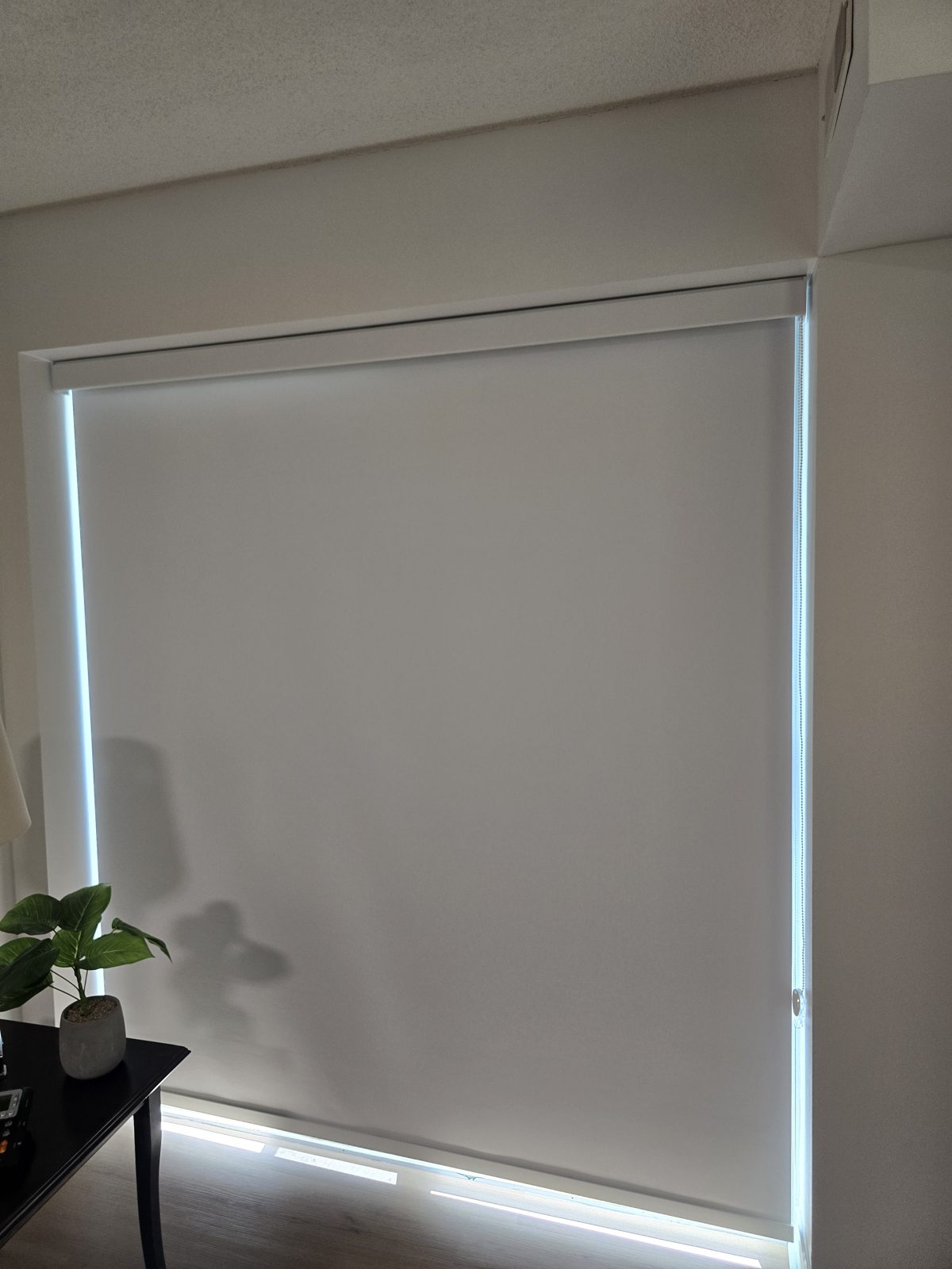 Office Window Blinds