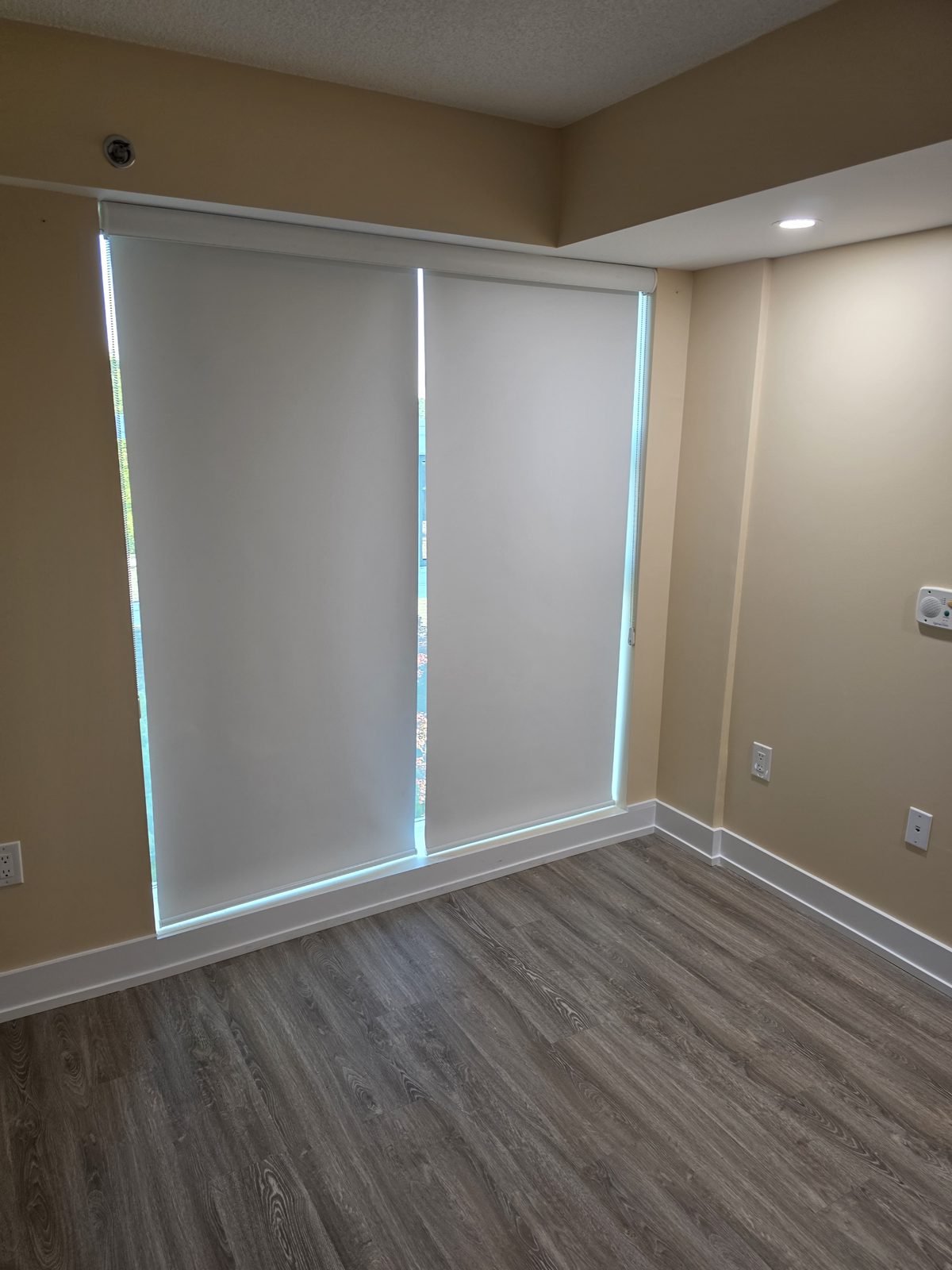Living Room Blinds
