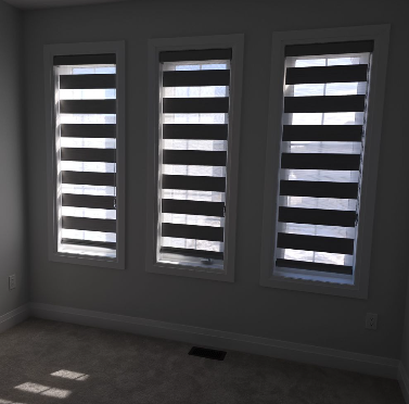 Zebra Blinds